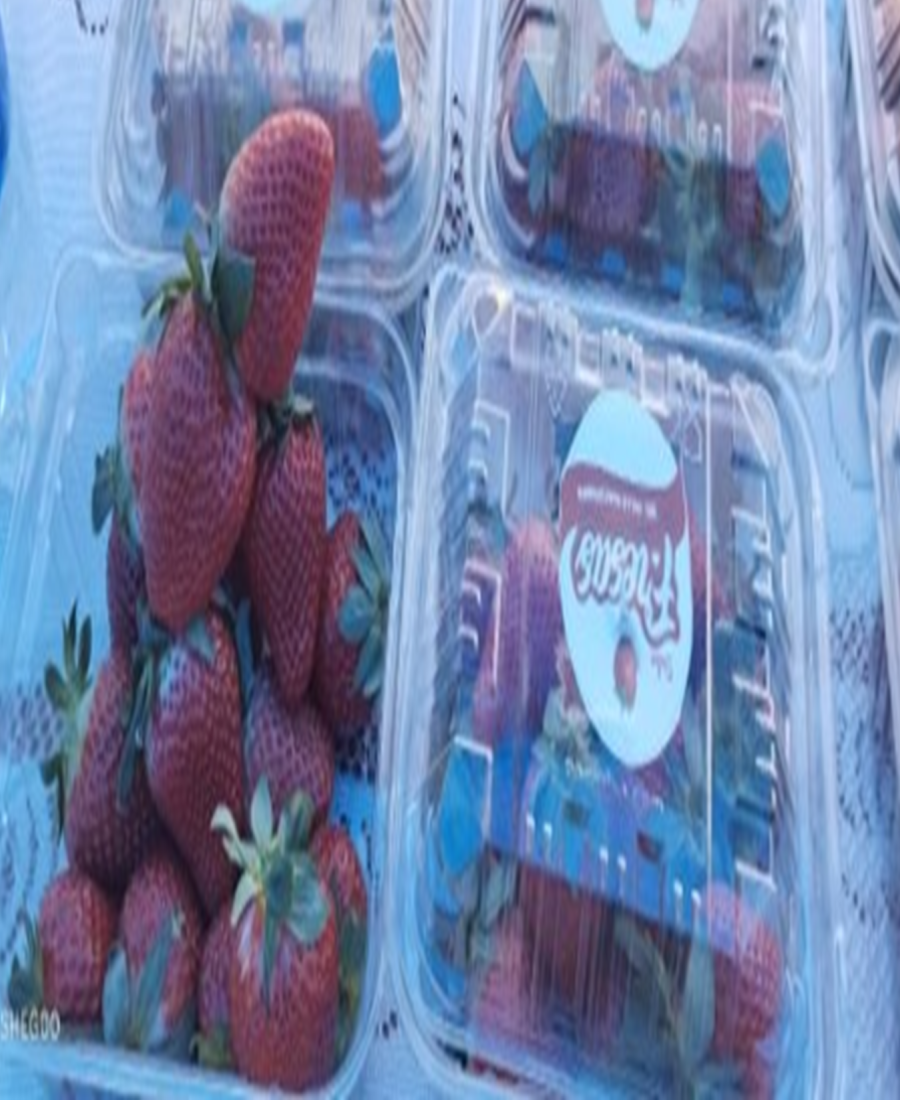 fresas_1200x2200_518134182