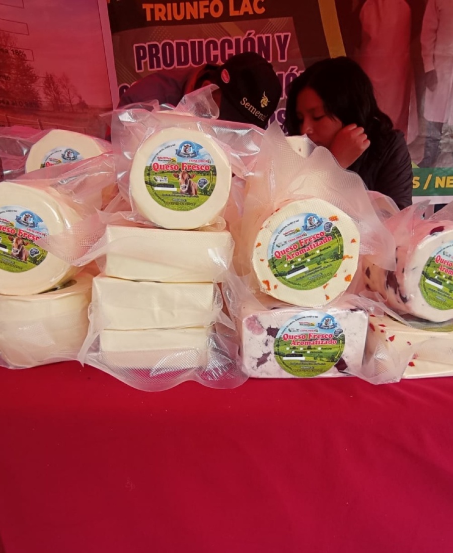whatsapp_image_2025-10-08_at_10_33_46_pm_1042111027