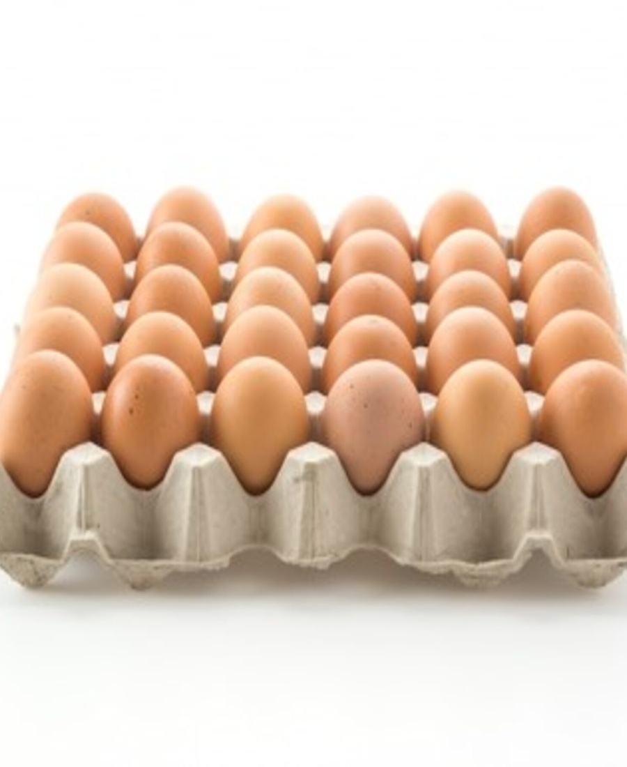 huevos_producto
