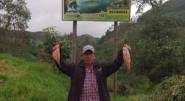 diego americo