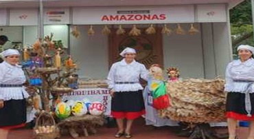 LAS MUSHITAS