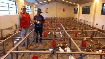 Asociaci&oacute;n de Productores de cuy Apu Pakinka Circa
