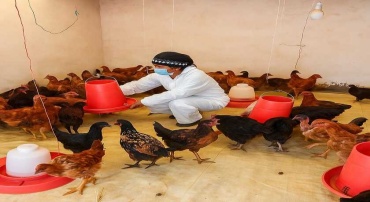 PRODUCCI&Oacute;N Y COMERCIALIZACI&Oacute;N DE HUEVOS Y GALLINAS