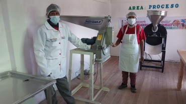 TRANSFORMACION PRIMARIA DE HABAS SECA