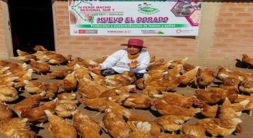 PRODUCCI&Oacute;N Y COMERCIALIZACI&Oacute;N DE HUEVOS Y POLLOS