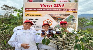 PURA MIEL