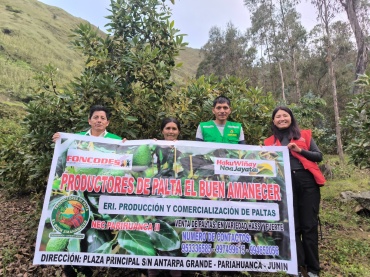 PRODUCCION Y COMERCIALIZACION DE PALTAS