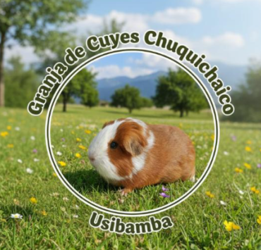 CUYES CHUQUICHAICO