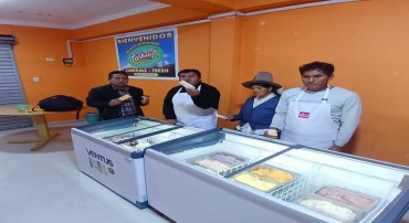 ELABORACION Y COMERCIALIZACION DE HELADOS - SHILLA