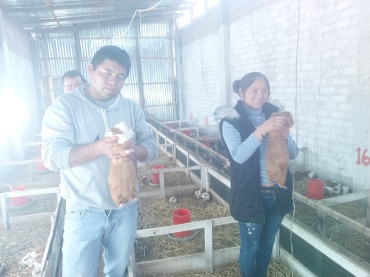 CRIANZA Y COMERC.  DE CUYES - CARNE Y REPRODUC. HZ