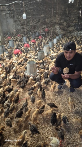 CRIANZA Y COMERCIALIZACION DE POLLOS RECRIAS