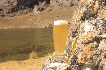 PRODUCCION Y COMERCIALIZACION DE CERVEZA ARTESANAL