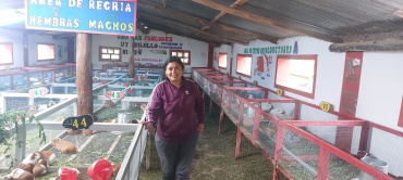 GALP&Oacute;N DE CUYES EL REMOLINO LA LIBERTAD