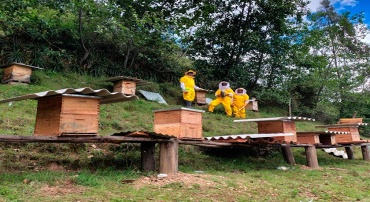 Apicola Las Reinas