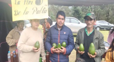 NEIDER BRIONES SANCHO