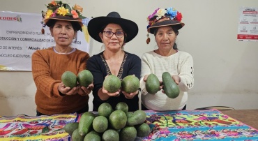 SEMBRANDO ESPERANZAS