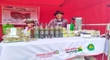 AROMATICOS DE TASSA "CREAR PARA CRECER"