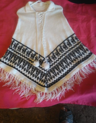 2_2__poncho