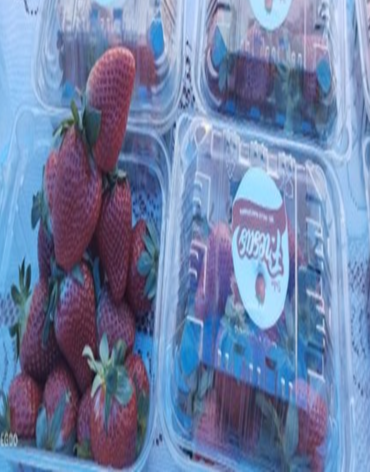 fresas_1200x2200_518134182