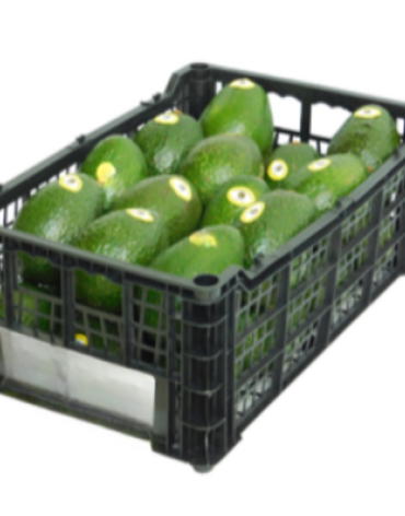 caja-de-10kg