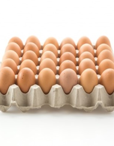 huevos_producto