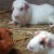 img-20250922-wa0028