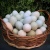 huevos