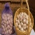 producto_-_condor